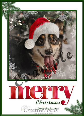 MerryBlingsHolidayCard-5x7-example